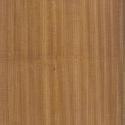 American Walnut (Crown-cut)